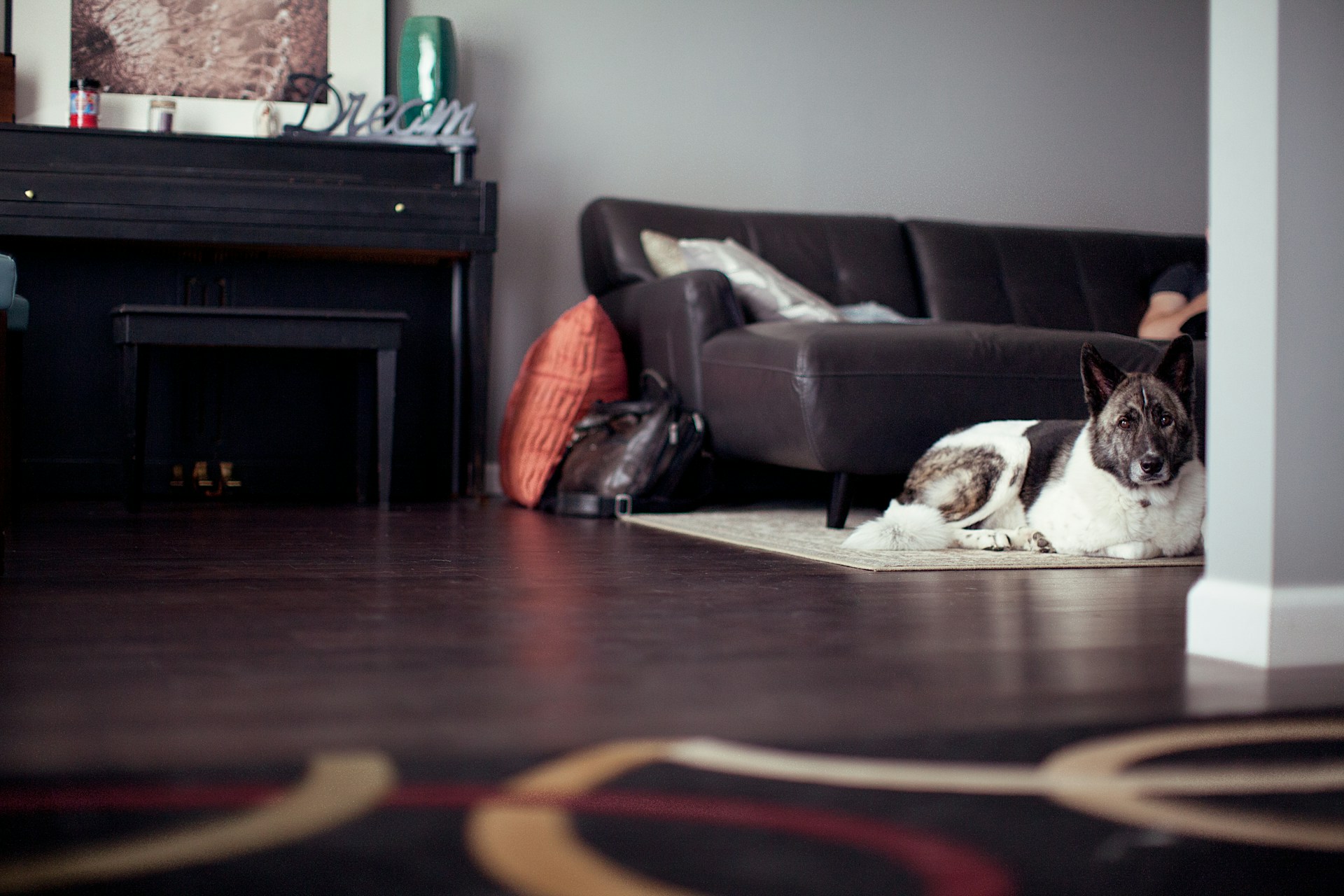 Home Design